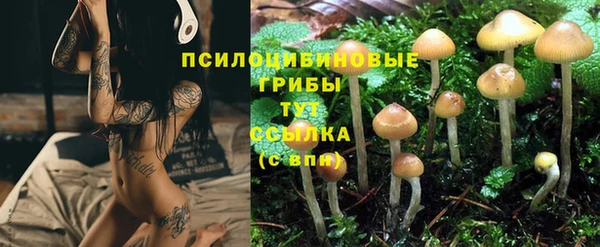 альфа пвп Осинники