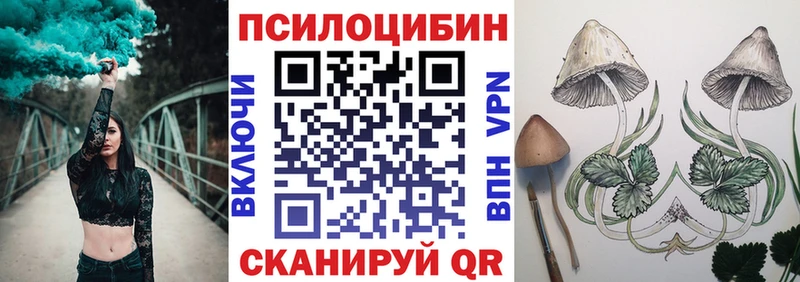 KRAKEN зеркало  darknet телеграм  Псилоцибиновые грибы Magic Shrooms  Североморск 