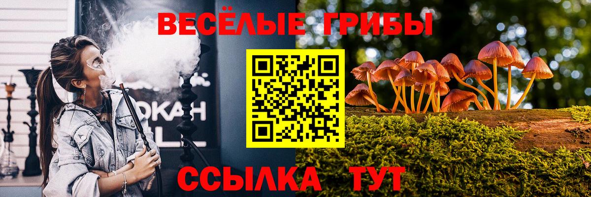 Псилоцибиновые грибы ЛСД Североморск