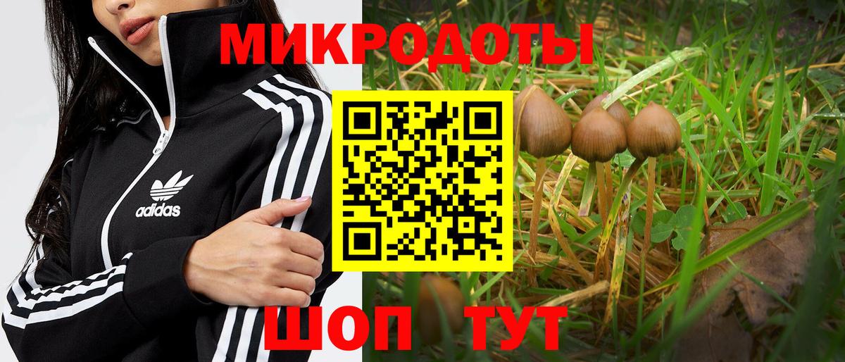 Псилоцибиновые грибы прущие грибы  Галлюциногенные грибы Magic Shrooms  Вход с VPN  Североморск 