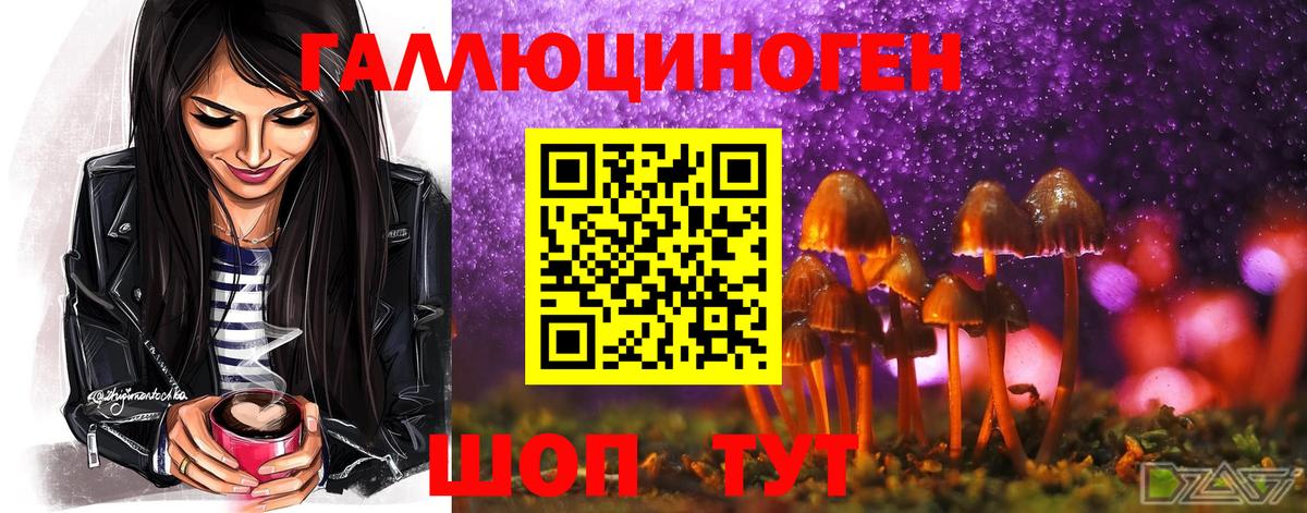 Галлюциногенные грибы MAGIC MUSHROOMS Североморск