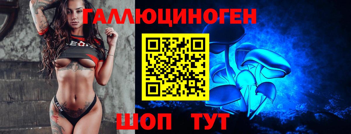 Псилоцибиновые грибы Psilocybe  Североморск 